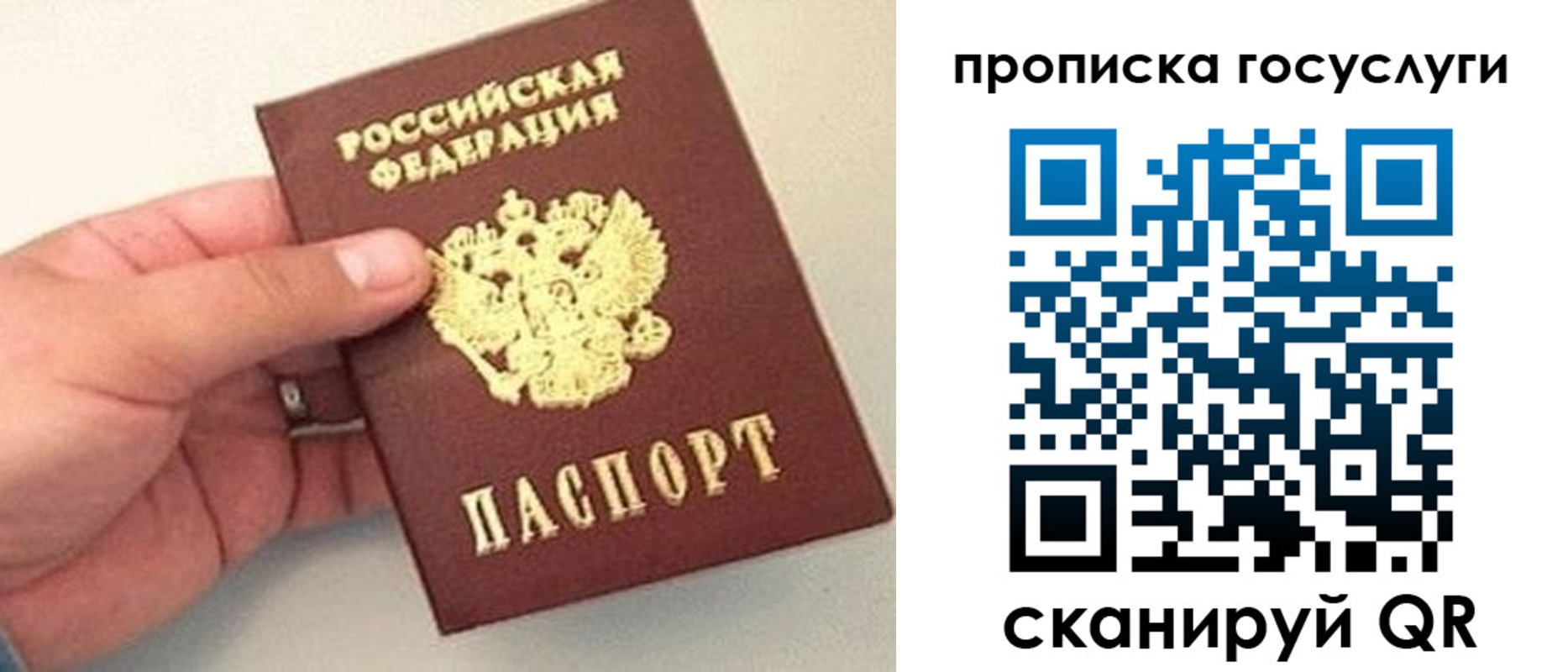 прописка ребенка в Чите